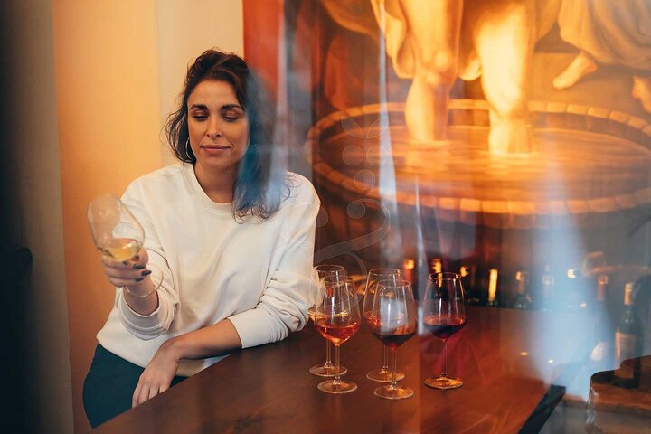 Istanbul Private Wine Tasting Tour Through 3 City Wineries - Image 3