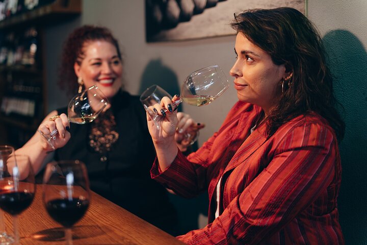 Istanbul Private Wine Tasting Tour Through 3 City Wineries - Image 1