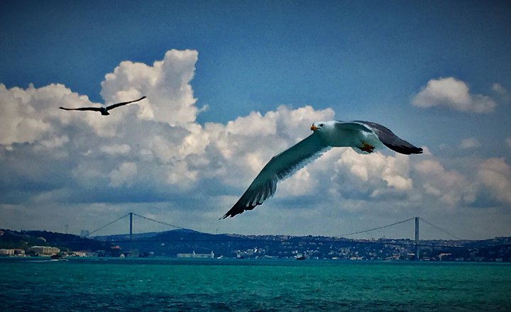 Luxury Private and Guided Istanbul Food Tour - Image 5