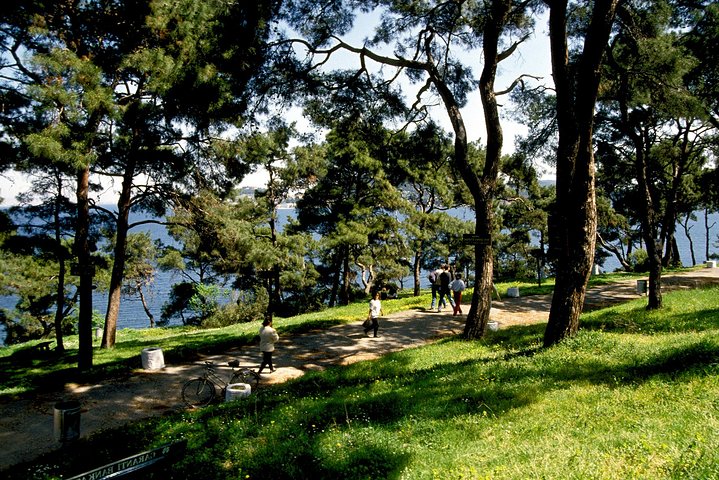 Princes' Islands of Istanbul - Image 3