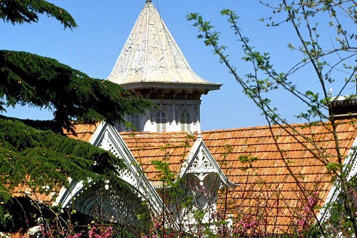 Princes' Islands of Istanbul - Image 2