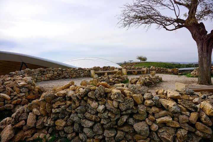 Private Göbeklitepe Tour from Istanbul by Plane - Image 2