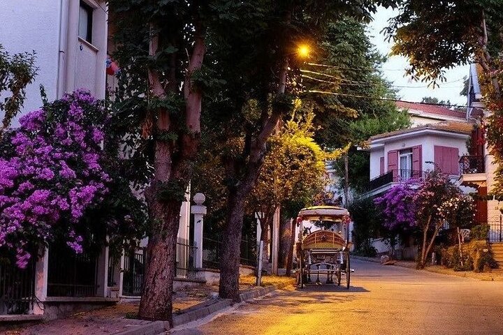 Private Guided Istanbul Princes Islands and Grand Bazaar Tour - Image 5