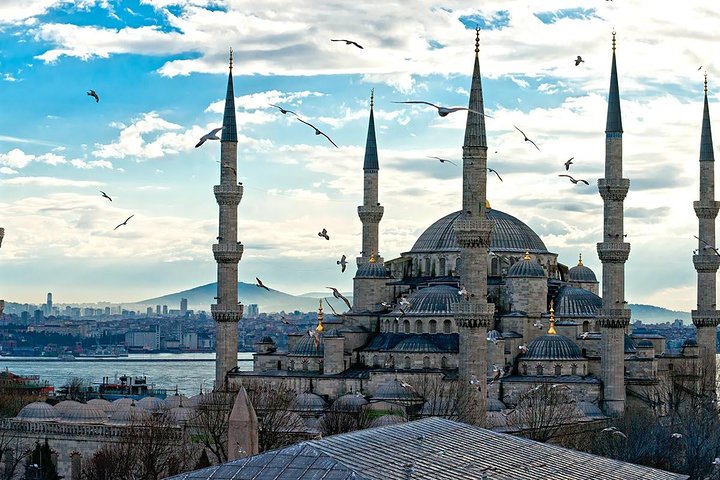 Private Istanbul and Ephesus Combination Full Day Shore Excursions Included Entrance Fees - Image 4