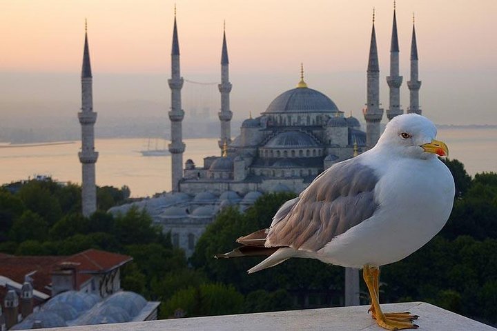 Private Istanbul Layover Tour From Airport - Image 4