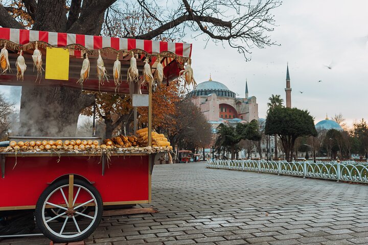 Private Sultahahmet Tour - Old City Tour of Istanbul  - Image 5