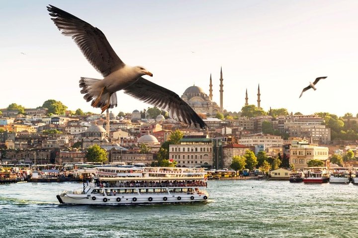 Small Group Full Day Istanbul Bosphorus and Asia Tour - Image 1