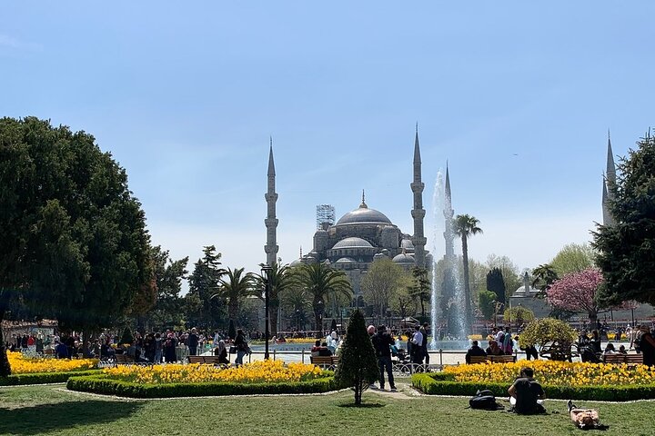 Top Sites Of Istanbul: Half Day or Full Day Private Walking Tour - Image 4