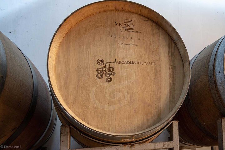VIP Full Day Wineries Tour Outside Istanbul with Wine Expert - Image 2