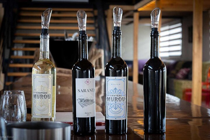 VIP Full Day Wineries Tour Outside Istanbul with Wine Expert - Image 5