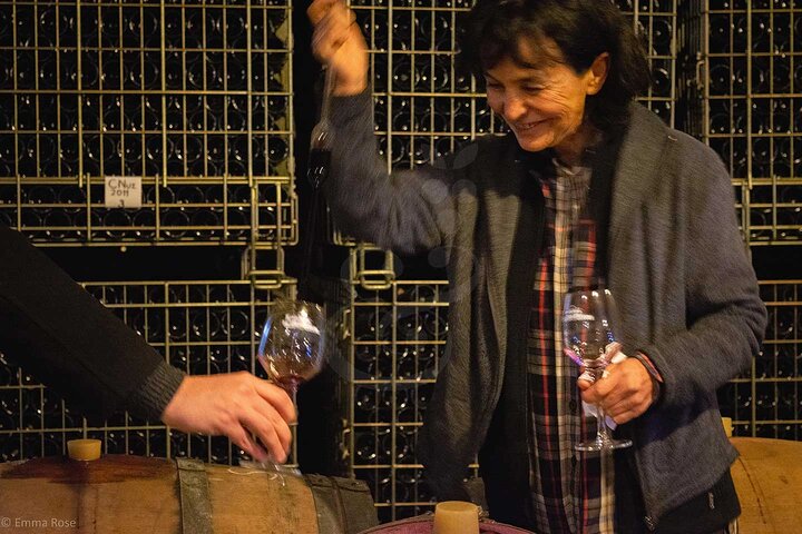 VIP Full Day Wineries Tour Outside Istanbul with Wine Expert - Image 3