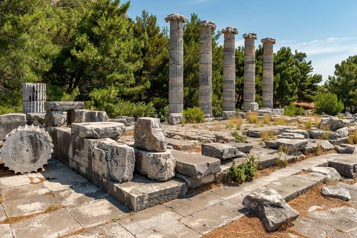 Izmir Port to Ephesus, Sirince Village, Temple of Artemis - Image 1
