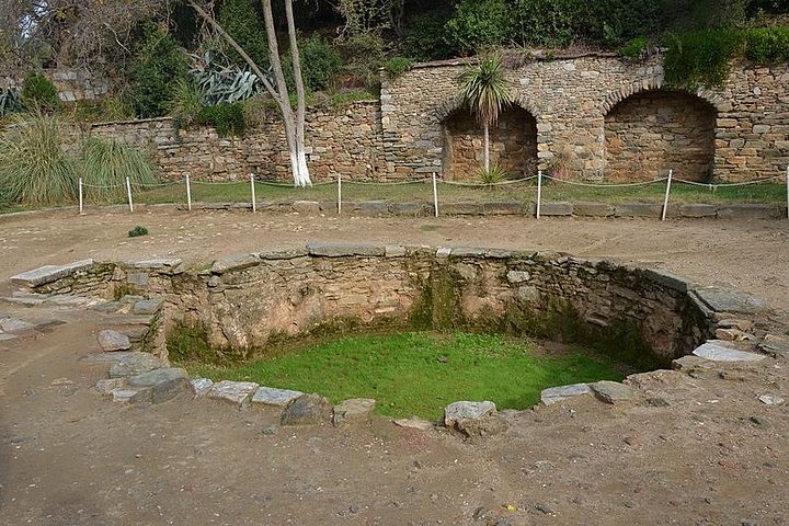 Izmir Shore Excursion: Private Tour to Ephesus, House of Virgin Mary and Temple of Artemis - Image 3