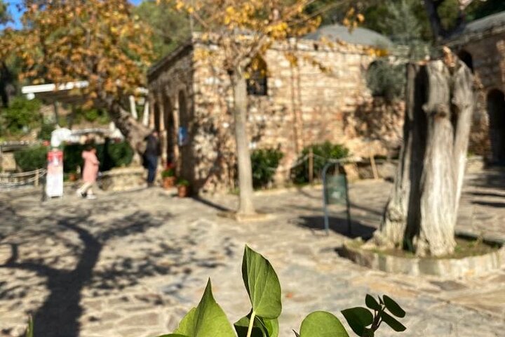 Izmir to Private Ephesus - Artemission Temple - Mother Mary's House - Image 4