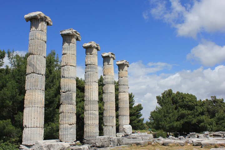 Priene - Miletos - Didyma Tour - Image 4