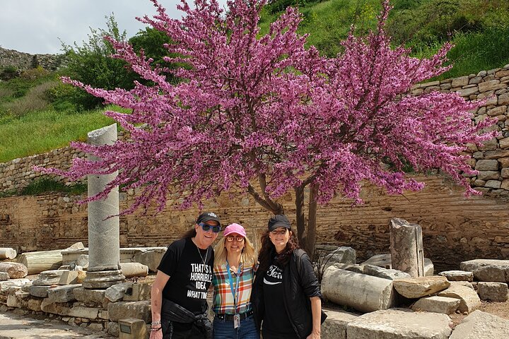 Private Ephesus Highlights Half Day Tour From Izmir - Image 4