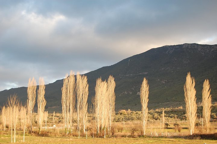 Turkish Villages and Local Life from Izmir - Image 2
