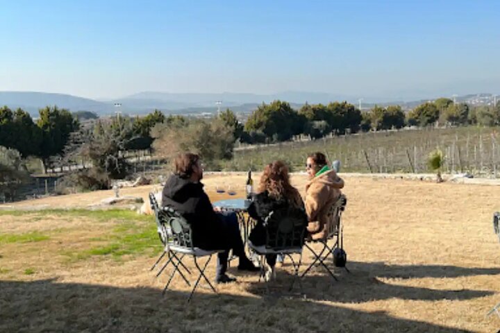 Wine Tasting Tour at Two Wineries in Urla Turkey - Image 4