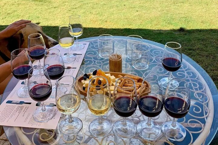 Wine Tasting Tour at Two Wineries in Urla Turkey - Image 1