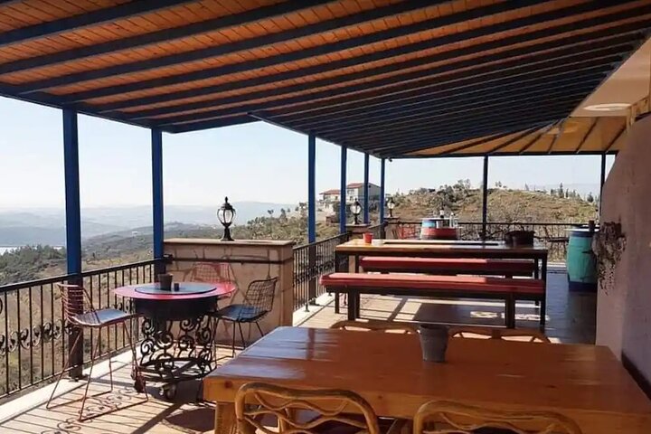 Wine Tasting Tour at Two Wineries in Urla Turkey - Image 5