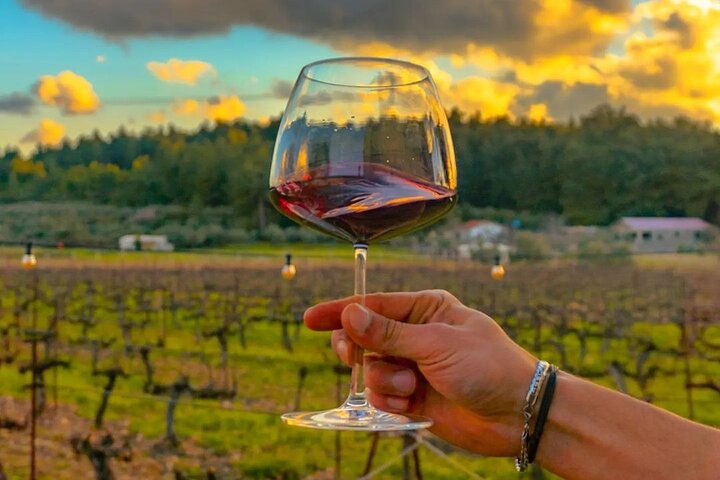 Wine Tasting Tour at Two Wineries in Urla Turkey - Image 2