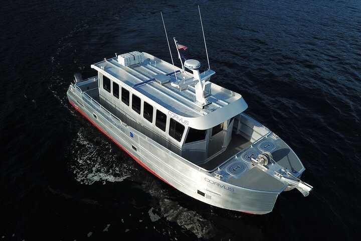 3.5 Hour Whale Tour in Juneau Alaska...skip the crowds with us!  - Image 2