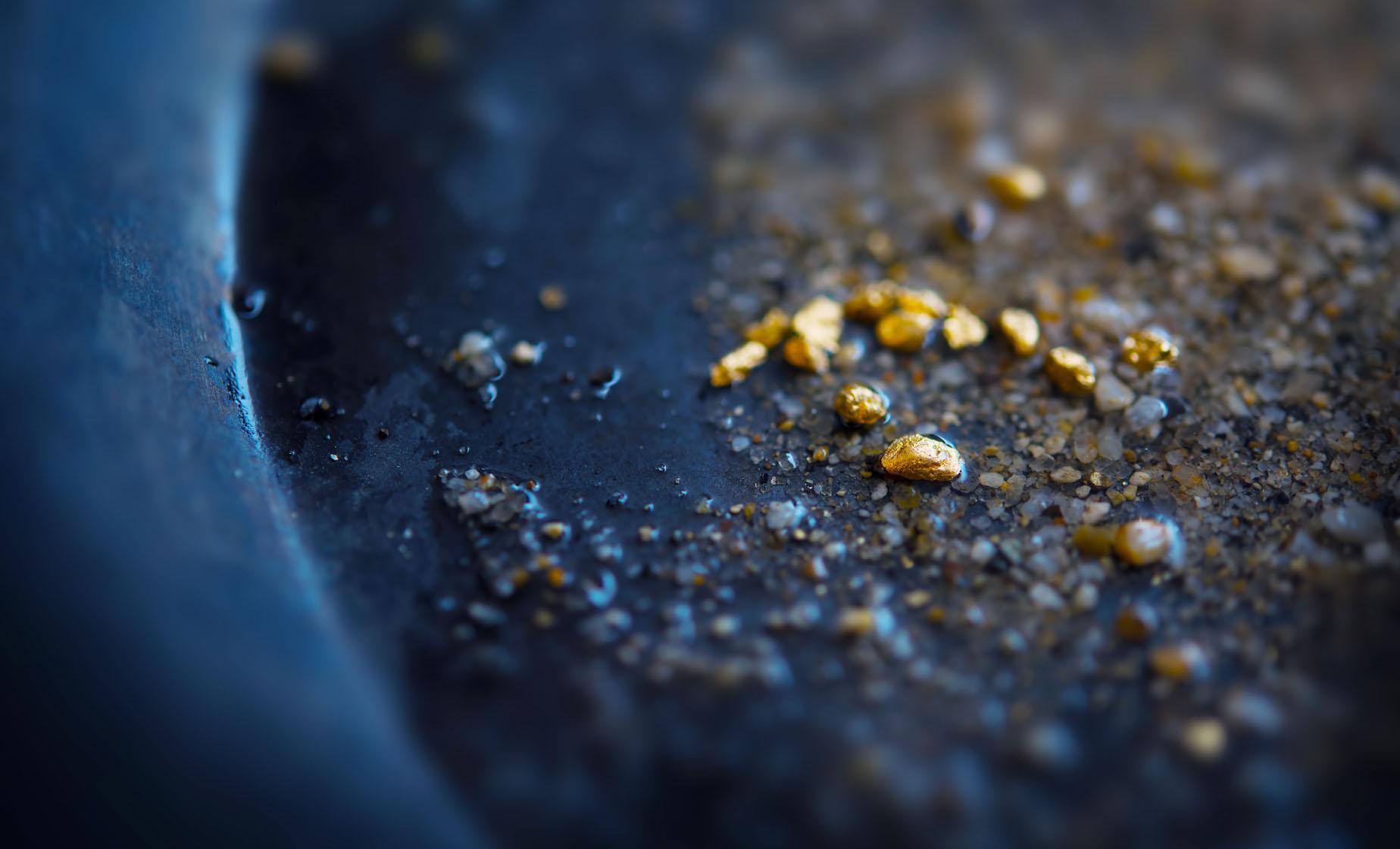 Gold Panning and Gold Creek Salmon Bake - Image 1