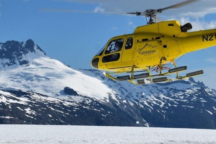 Juneau Shore Excursions: Helicopter Dogsledding Experience and Additional Glacier Landing - Image 2