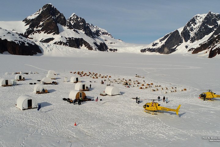 Juneau Shore Excursions: Juneau Helicopter Tour & Dogsledding Experience - Image 1