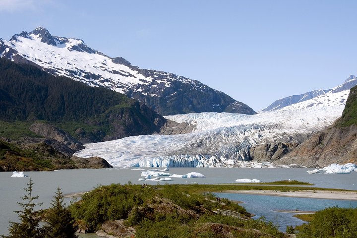 Juneau Wildlife Whale Watching & Mendenhall Glacier - Image 2