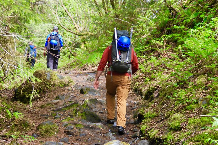 Mendenhall Glacier Guided Hike - Image 3