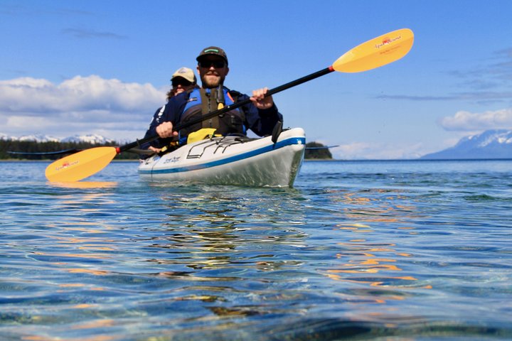 Paddle with Whales! Kayak Adventure - Image 3