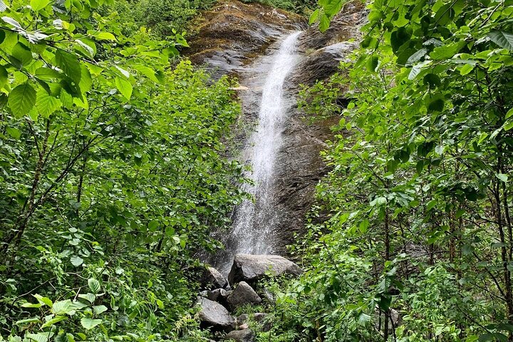 Rainforest & Waterfalls Trek - Image 3