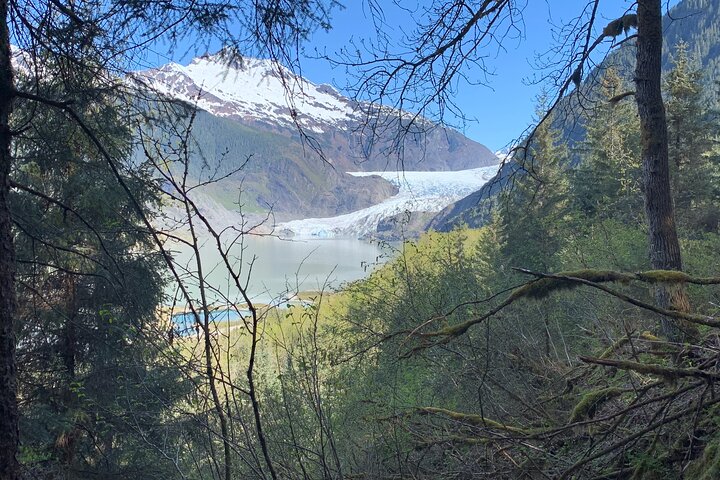 Rainforest & Waterfalls Trek - Image 5