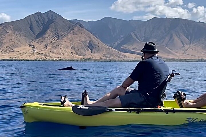 4 hour Private Custom Kayak Tour Lahaina - Image 5