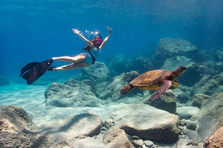 4 hour Private Custom Kayak Tour Lahaina - Image 3