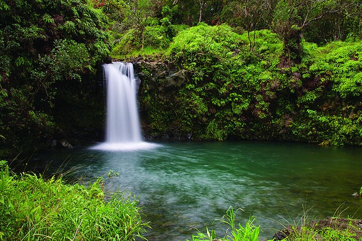 Exclusive Private Luxury Road to Hana Tour - Image 3