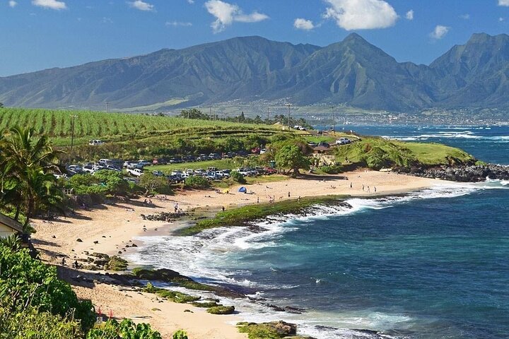 Explore Maui's Upcountry & the Iao Valley - a Private Jeep Tour - Image 4