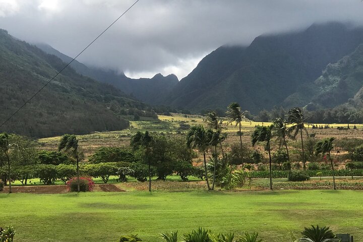 Explore Maui's Upcountry & the Iao Valley - a Private Jeep Tour - Image 2