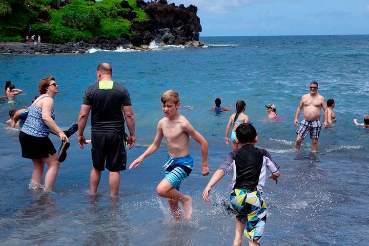 Famous Road to Hana Mercedes van with Waterfalls, Black Sand Beach & Lunch  - Image 5