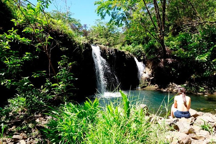 Famous Road to Hana Mercedes van with Waterfalls, Black Sand Beach & Lunch  - Image 2