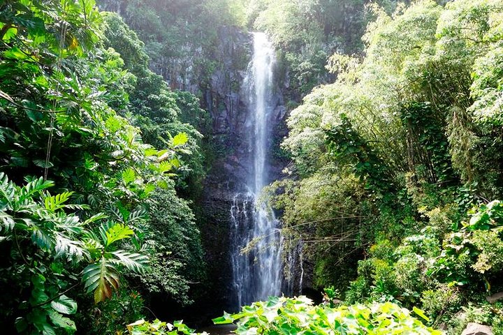 Famous Road to Hana Mercedes van with Waterfalls, Black Sand Beach & Lunch  - Image 4