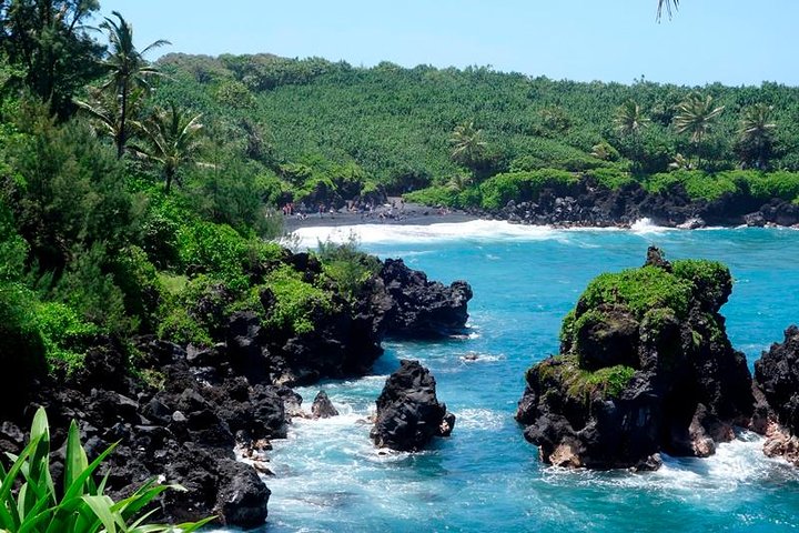 Famous Road to Hana Mercedes van with Waterfalls, Black Sand Beach & Lunch  - Image 3