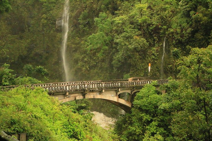 Famous Road to Hana Waterfalls & Lunch by Mercedes Van - Image 2