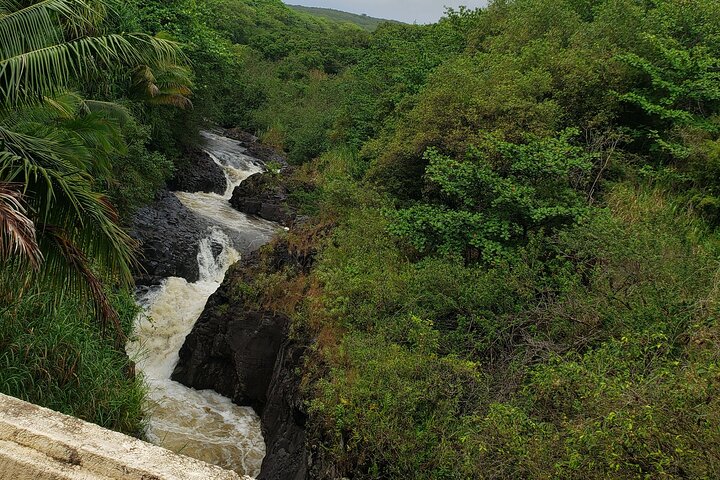 Full-Circle "Reverse" - Luxury Road to Hana Tour from South Maui - Image 5