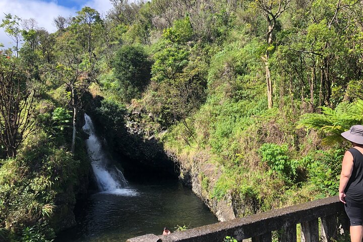 Full-Circle "Reverse" - Luxury Road to Hana Tour from West Maui - Image 2