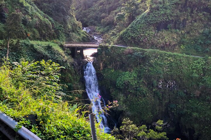 Full-Circle "Reverse" - Luxury Road to Hana Tour from West Maui - Image 3