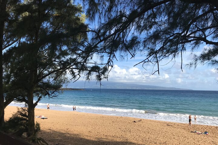 Full Day Private Maui Tour - Image 1