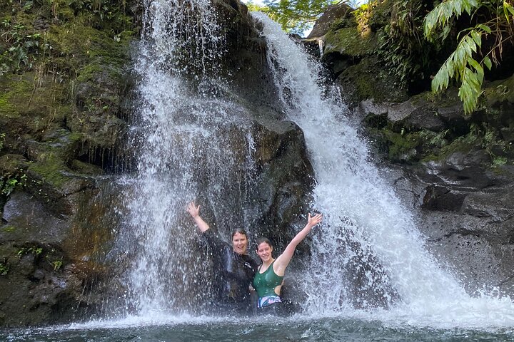 Full-Day Private Road to Hana Tour from Lahaina-Kapalua - Image 3