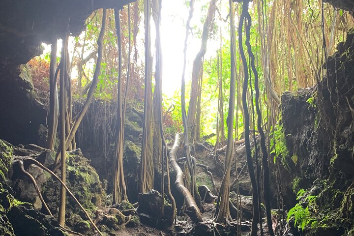 Full-Day Private Road to Hana Tour from Lahaina-Kapalua - Image 5